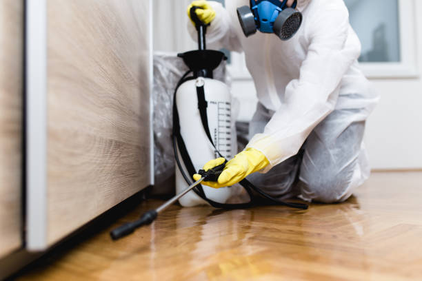 Best Pest Control Treatment  in Bishop, CA