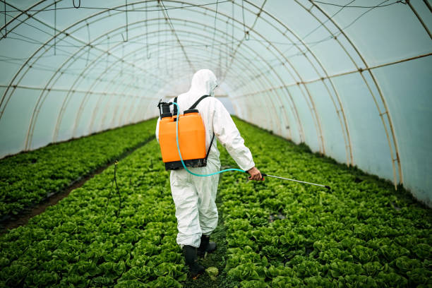 Best Pest Inspection Near Me  in Bishop, CA