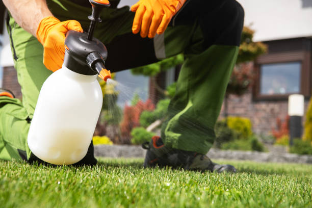 Best Best Pest Control Companies  in Bishop, CA