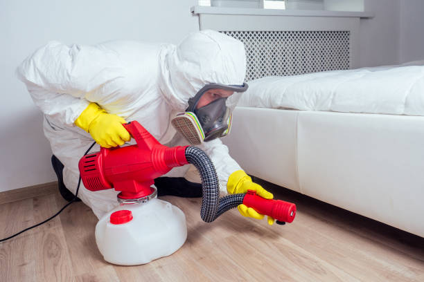 Best Affordable Pest Control Services  in Bishop, CA