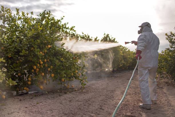 Best Flea Control Services  in Bishop, CA