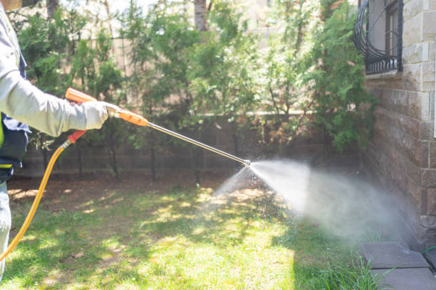 Best Affordable Pest Control Services  in Bishop, CA