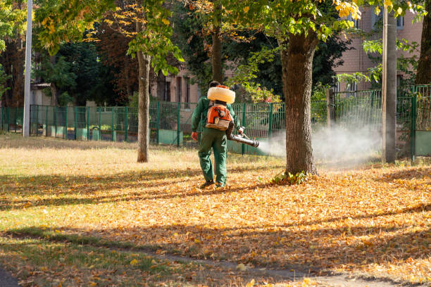 Best Local Pest Control Services  in Bishop, CA