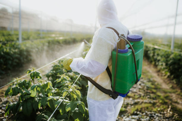 Best Best Pest Control Companies  in Bishop, CA